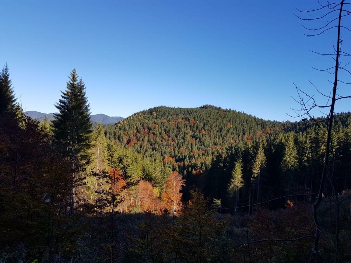 Casa Bicajeanului - Lacu Roșu Zewnętrze zdjęcie