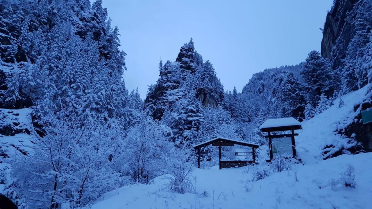 Casa Bicajeanului - Lacu Roșu Zewnętrze zdjęcie